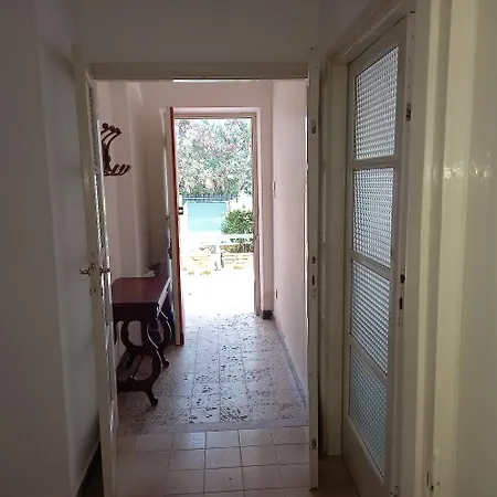 Eusepia, Di Fronte Di Tirrenia