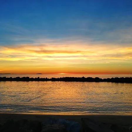 Eusepia, Di Fronte Di *