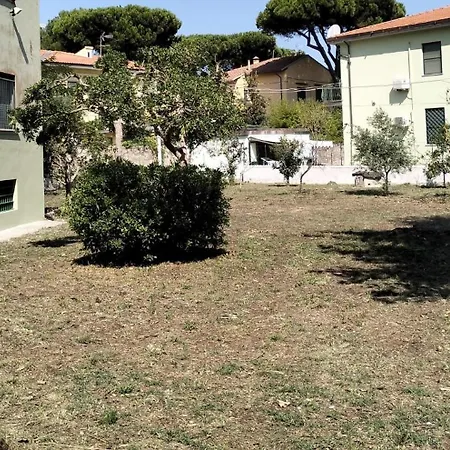 Eusepia, Di Fronte Di