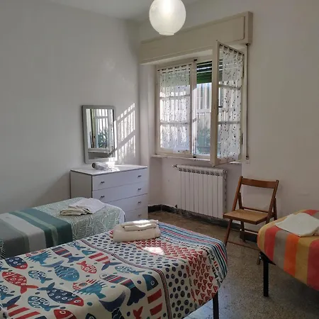 Eusepia, Di Fronte Di *